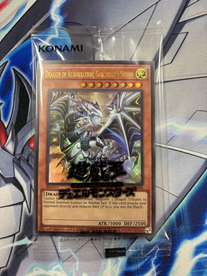 日本選手権　優勝　プロモ