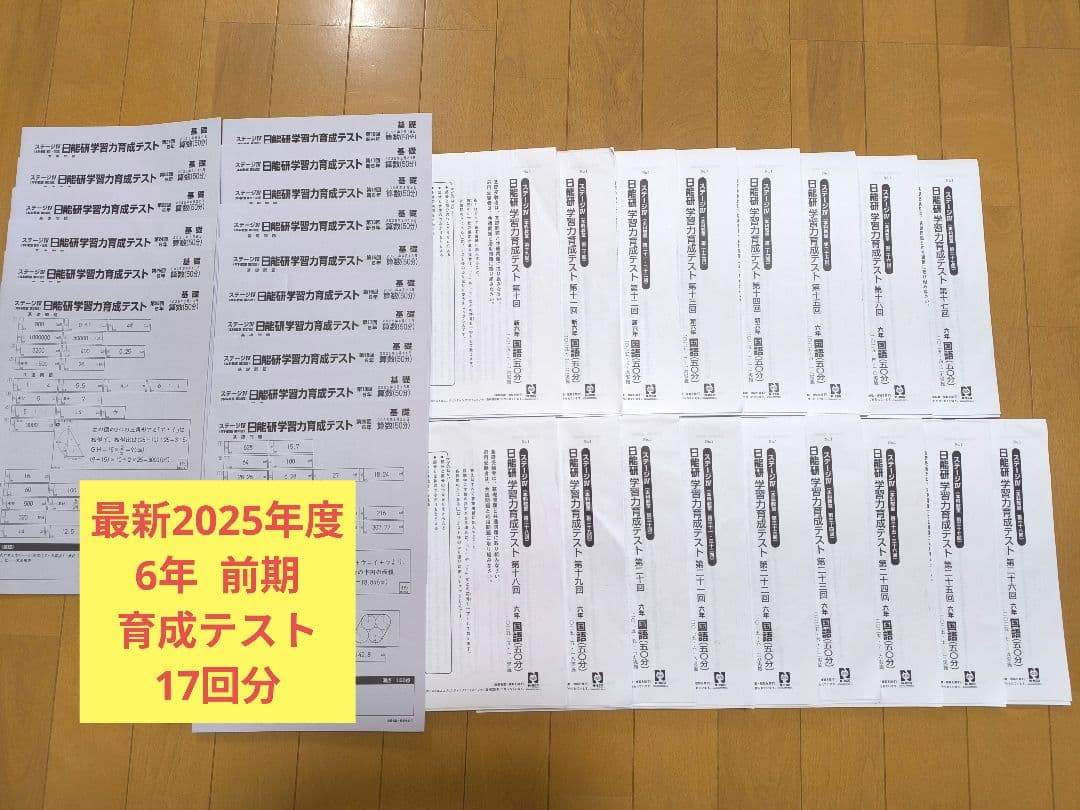 最新2025年度日能研 学習力育成テスト 前期 6年生全17回分