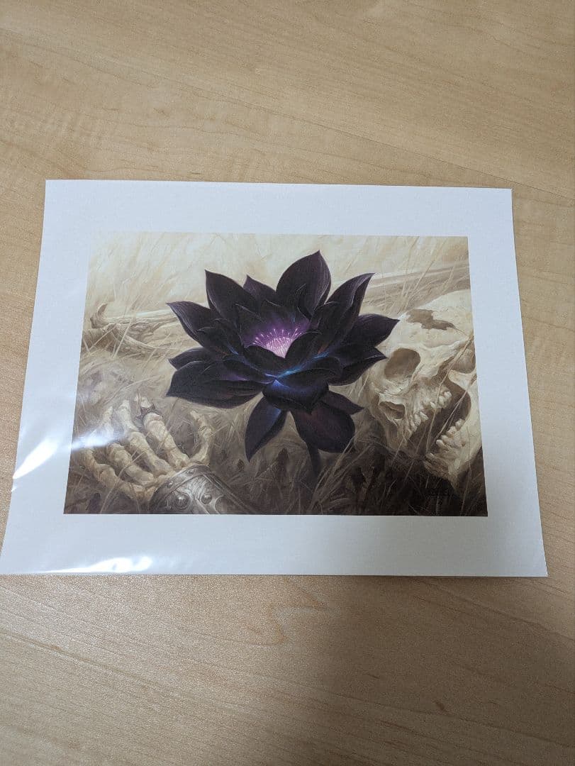 Black Lotus ブラックロータス MO アートプリント 複製原画 MTG - メルカリ