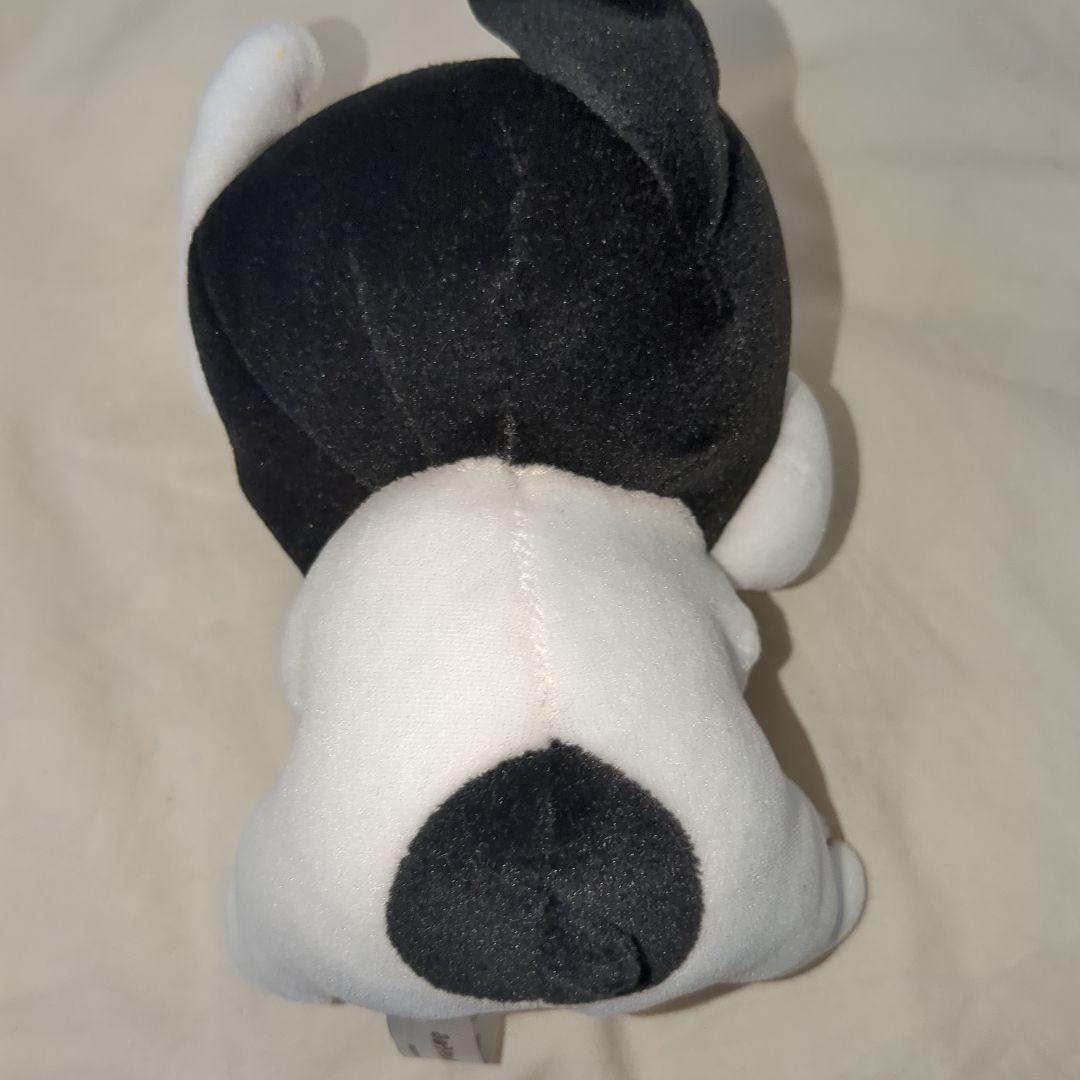 ふぉうちゅんドッグす 初回限定版 特典ぬいぐるみ4個セット 本体美品