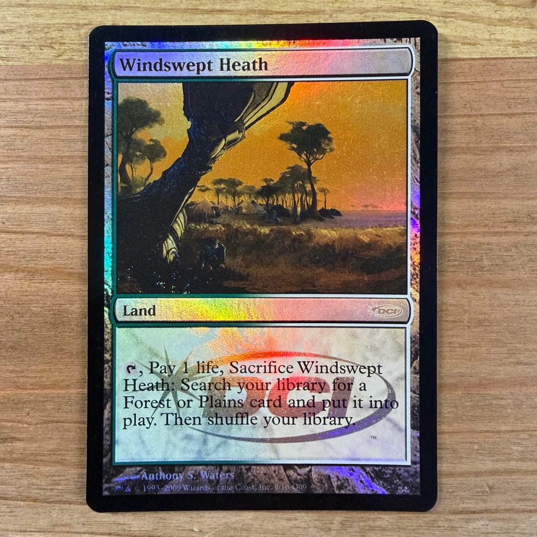 吹きさらしの荒野 ジャッジ褒賞 foil 英語 MTG