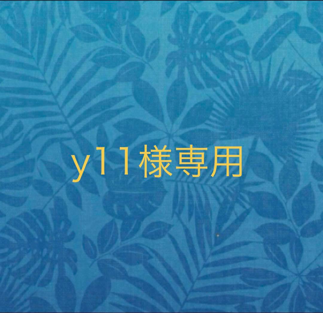 アクセサリー y11