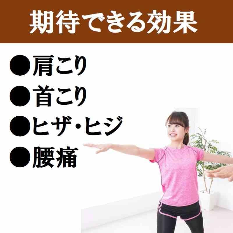 純ゲルマニウム粒 300個 肩こり 首こり 腰痛 プチシルマ エレキバン