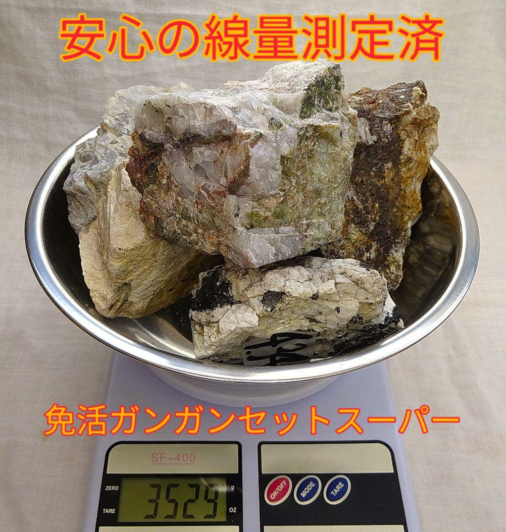 お買い得!!免活ガンガンセットスーパー(101)お風呂用