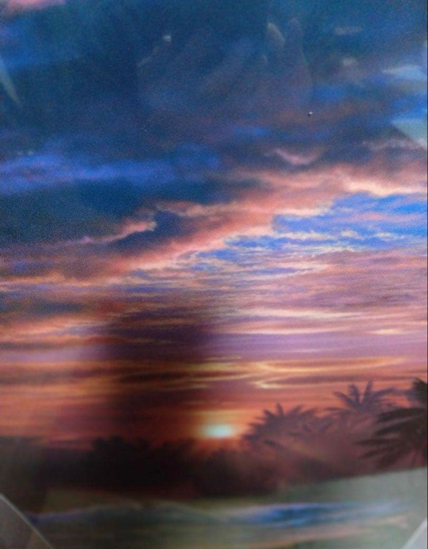 クリスチャンラッセンのゴールデンモーメント額縁 - メルカリ