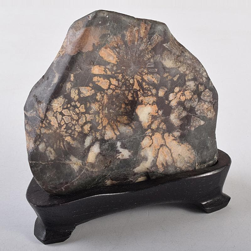 天然石　鑑賞石　菊花石　置物　重さ約547g　唐木台付　C　R8838 菊花石 置石2．8kg 天然石販売 名取貴石 天然石・国産原石の専門店