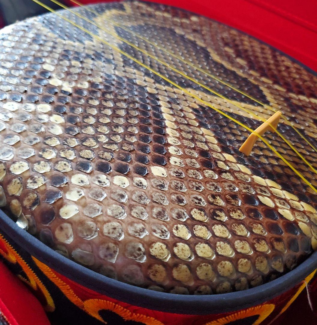 三線 蛇皮 強化張り 真壁型 オーストリッチハードケース 鍵付 黒塗り 沖縄