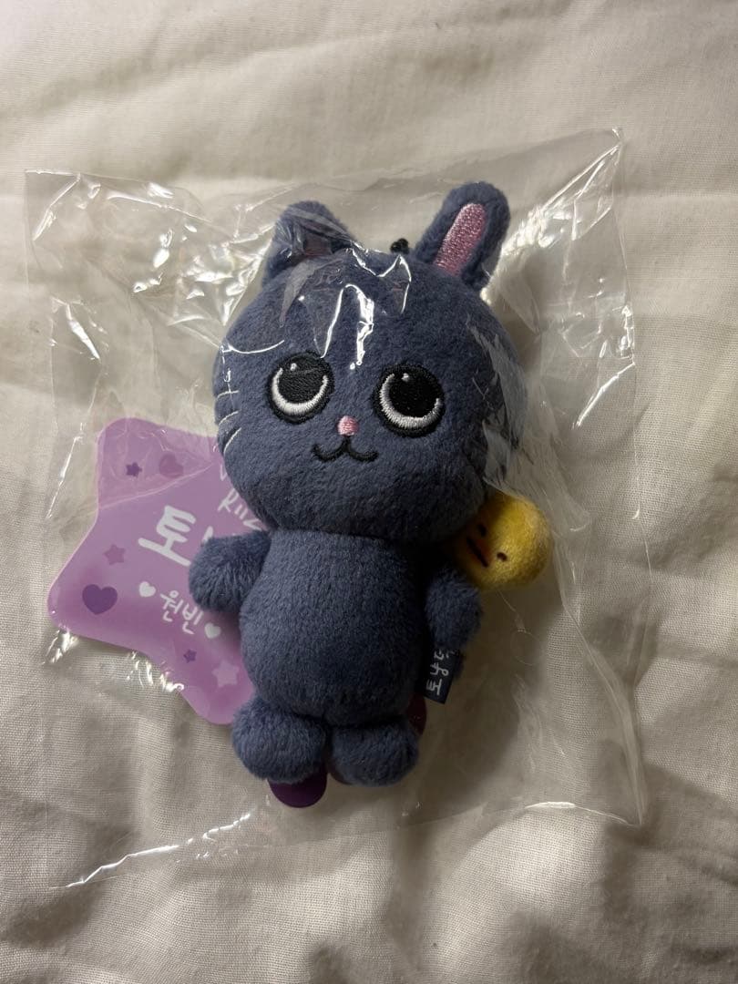 新品未開封】RIIZE ウォンビン トニャンドク キーリング ぬいぐるみ