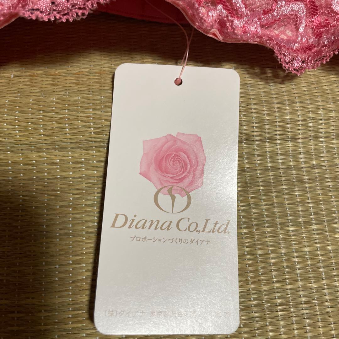 補整下着のダイアナ リセグラマラスブラジャー Diana ブラジャー E70