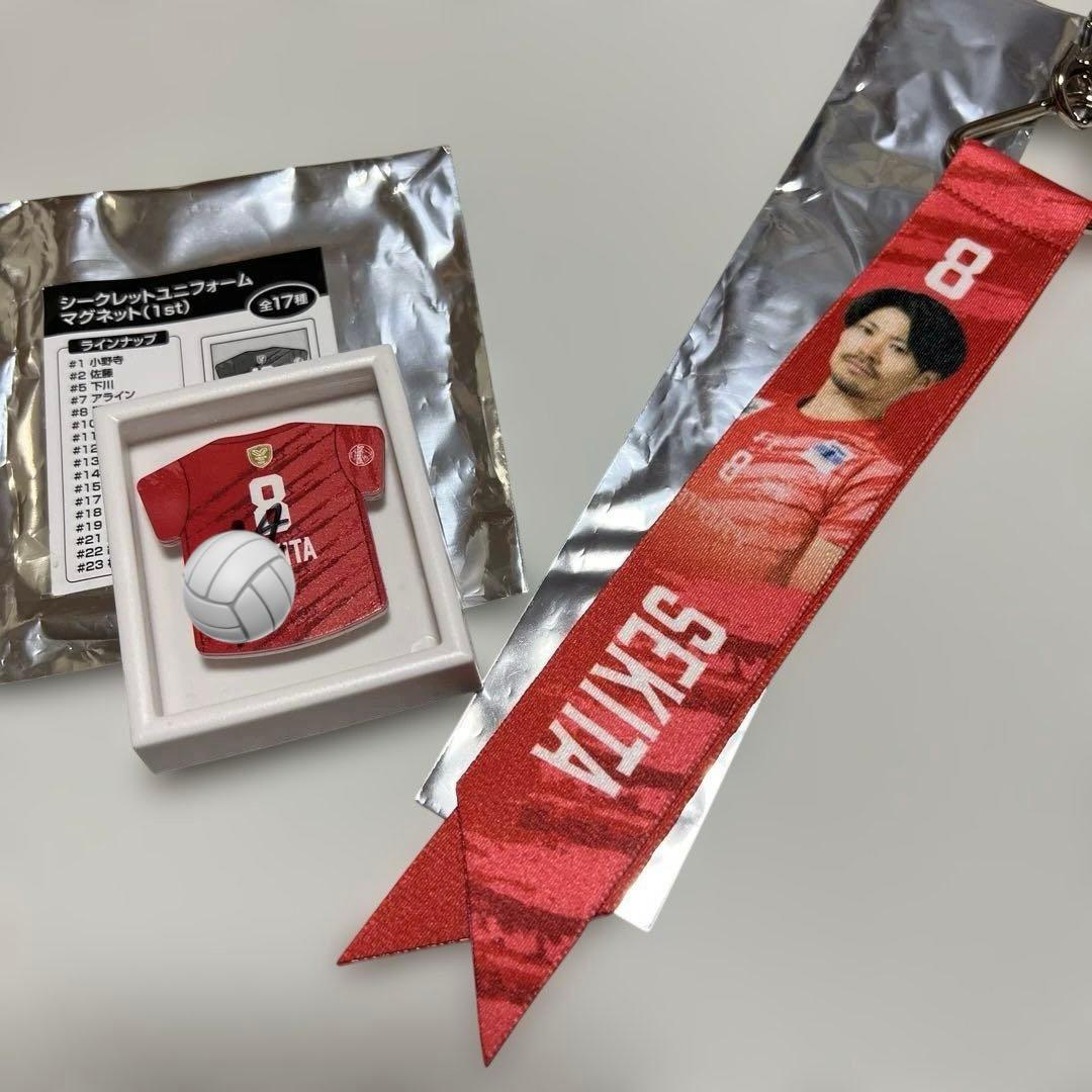 サントリーサンバーズ大阪　関田誠大　グッズ