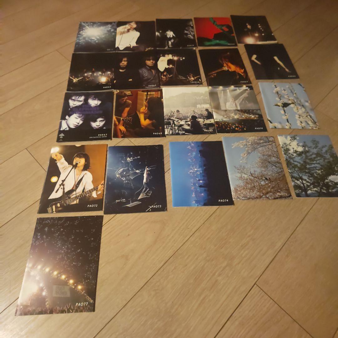 エレカシ 会報 PAO 26～30 34 36 38～77 バラ売り不可