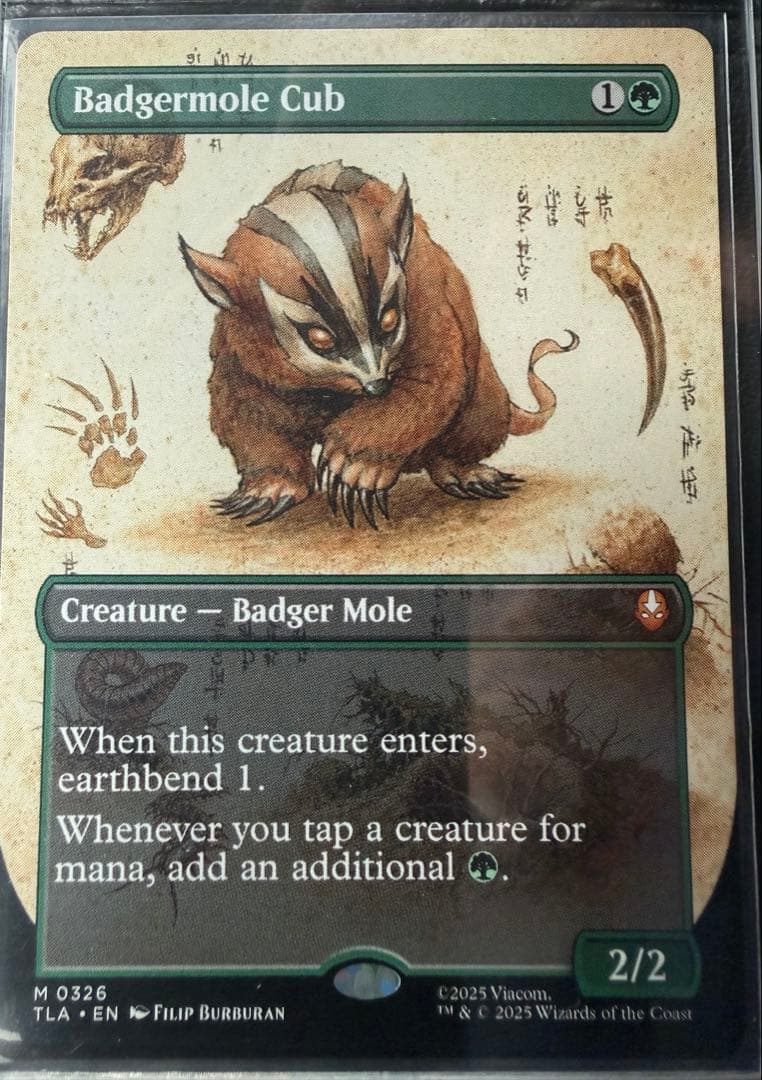 MTG アナグマモグラの仔/Badgermole Cub アナグマモグラの仔/Badgermole Cub《英語》【TLA】