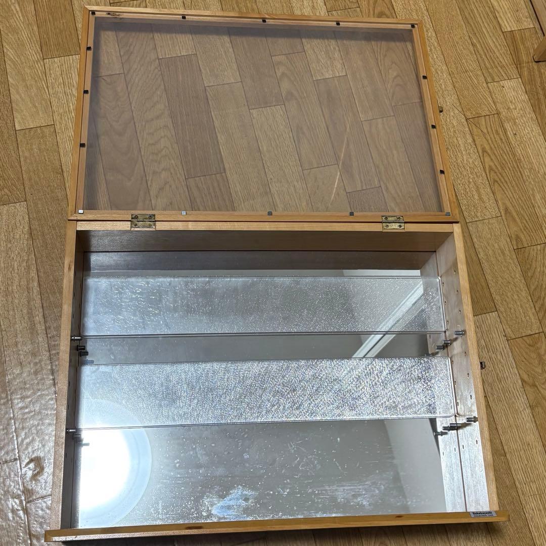 ナカバヤシ コレクションケース/透明アクリル棚板ナチュラル木目 CCM