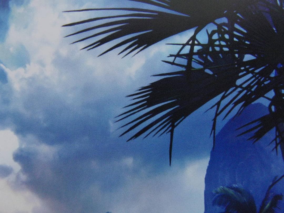 ステファン・マーチンエアー、【White Sand Beech】 - メルカリ