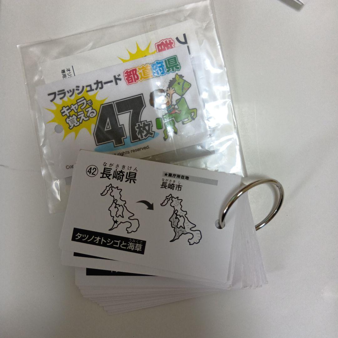 スタディアップ 白地図ピース 重ねて覚える191ピース 野村恵祐 中学