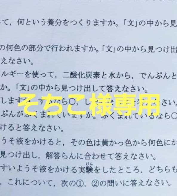 そちこ TOMIX しなの鉄道 SR1系300番代電車セット 品番：98147 鉄道模型