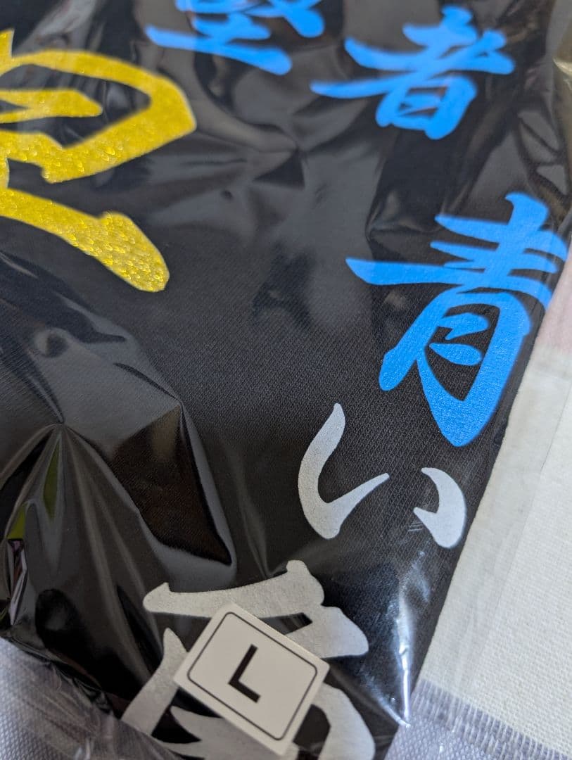 氣志團　焼津公演限定　早乙女光Tシャツ　Lサイズ ④