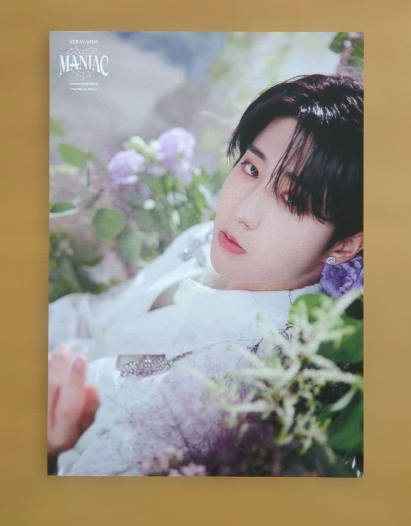 Stray kids スキズ ハンジソン グッズ まとめ売り - メルカリ