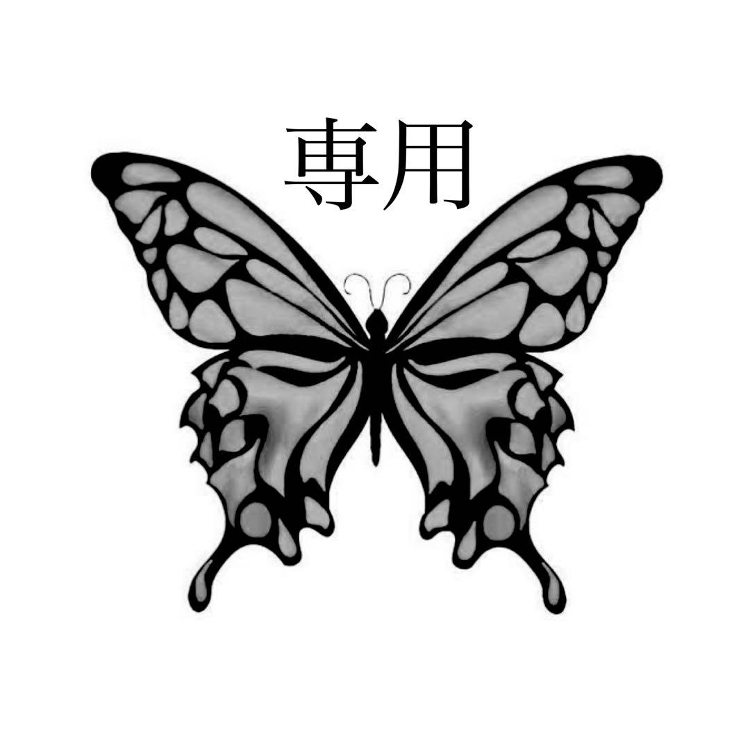 標本 チャーラクセズ・スーボーナタズ 蝶標本 チャーラクセズ