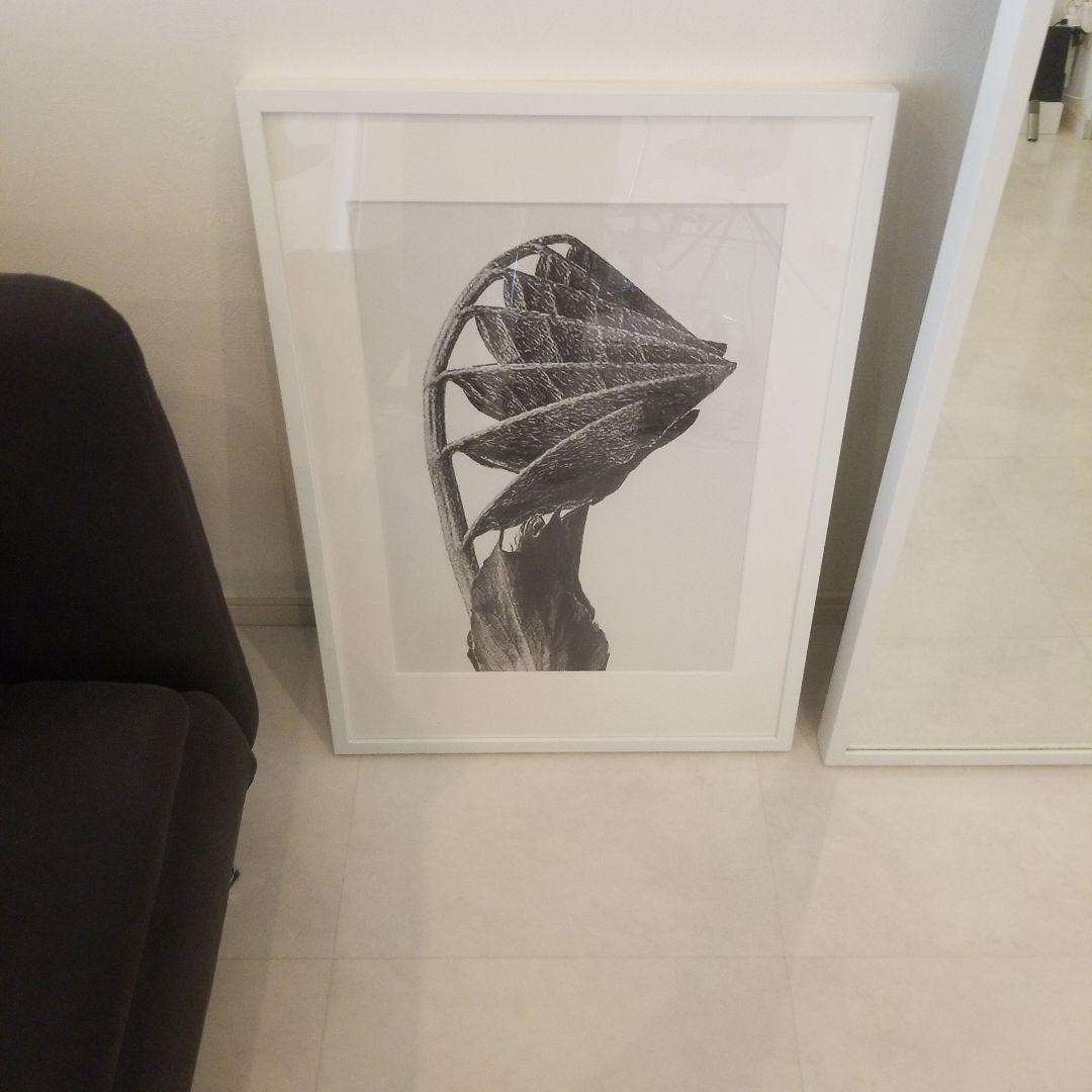 アラキ様　ボーコンセプト　フレームアート　【訳あり】