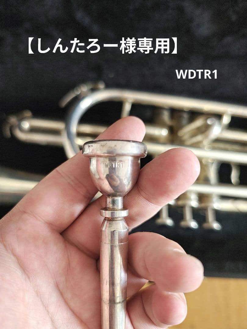 【しんたろー】WDTR1 マウスピース