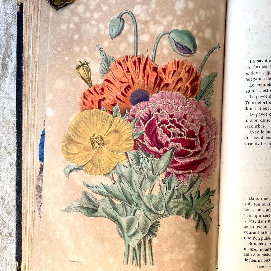 マガジン・デ・ドゥモアゼル1863年フランスアンティーク本古書彩色銅版画