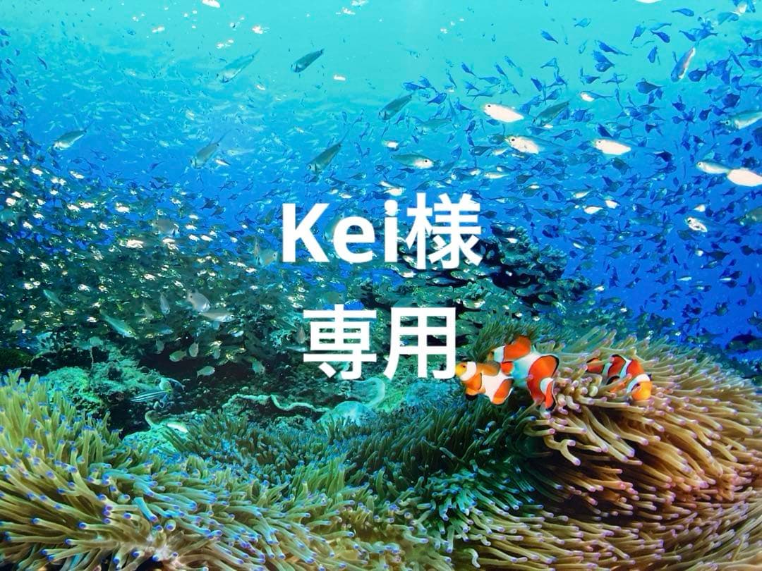 エンビロンモイスチャートーナー200mlを2本Cブーストクリームを2本