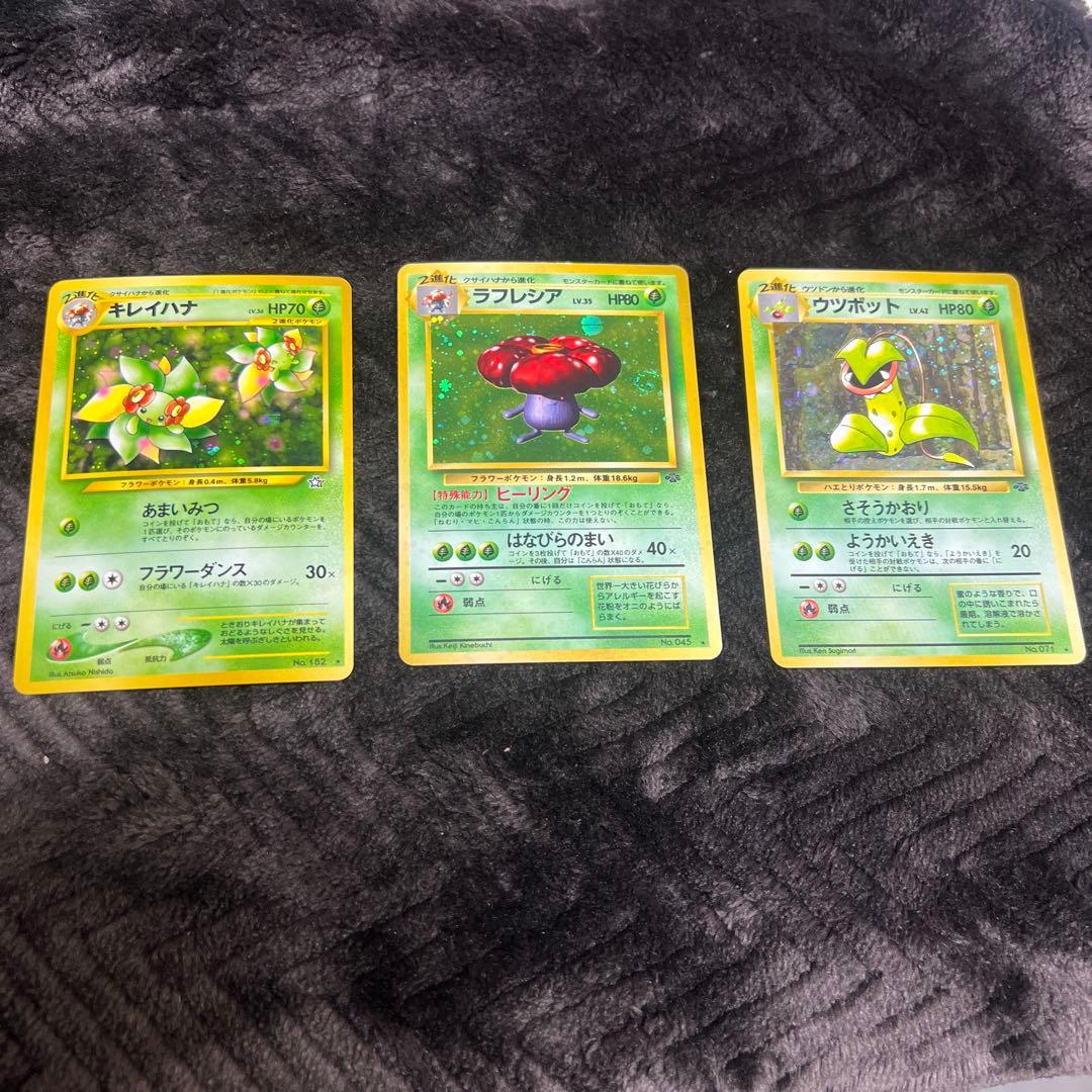 【良品〇】ポケカ　Pokéca 旧裏　ポケモンカード　草タイプ　まとめ