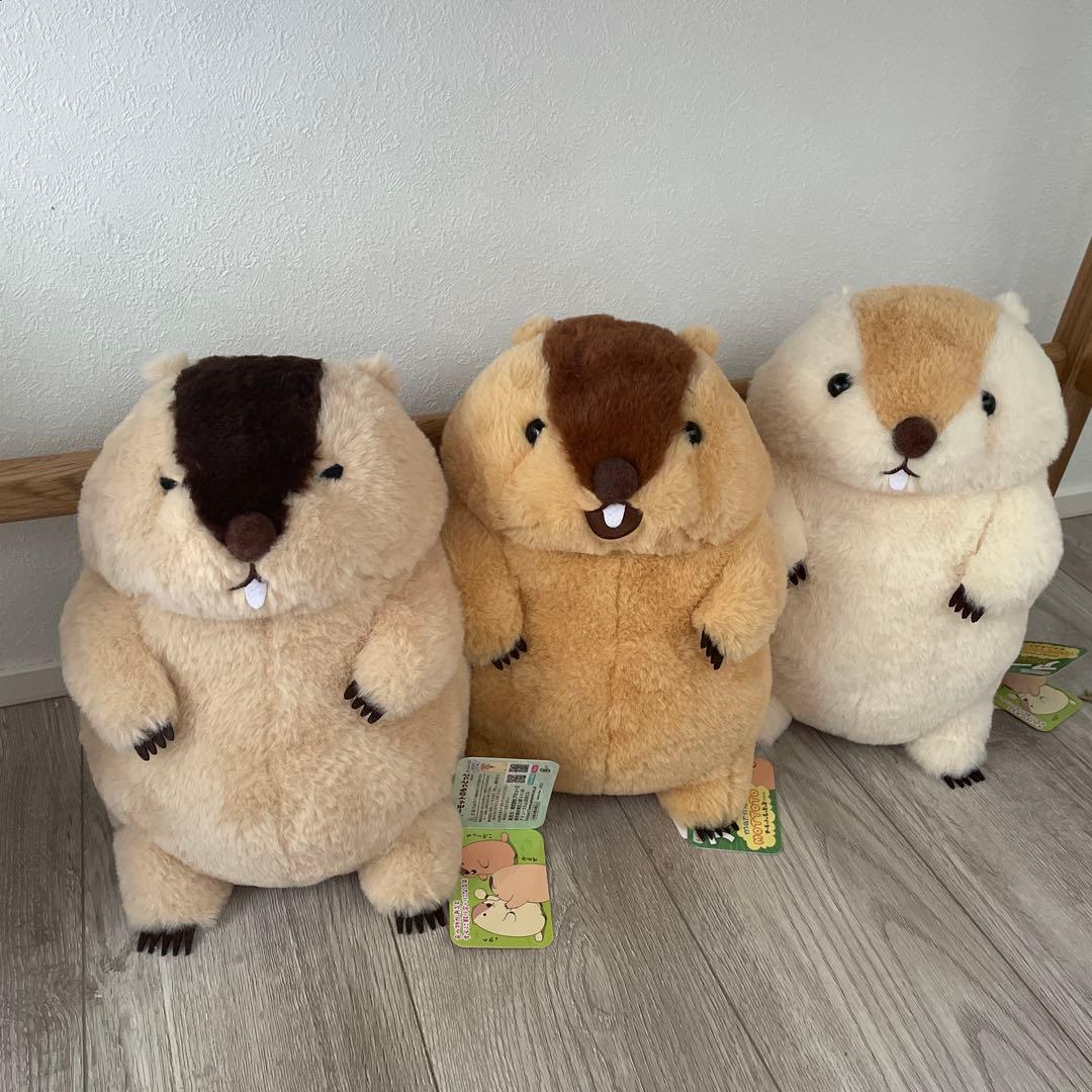 マーモットのもっとっとJB ぬいぐるみ　もっとっと　はまもと　アー太郎 ≪7月の新商品≫マーモットのもっとっとモア-NEW ITEM！｜アミューズ