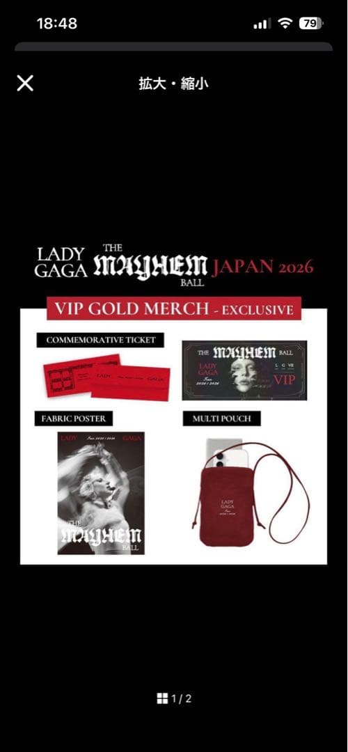 ミュージシャン Lady Gaga The Mayhem Ball VIP Gold Merch Take a look at the VIP merch for Lady Gaga's MAYHEM Ball dates in