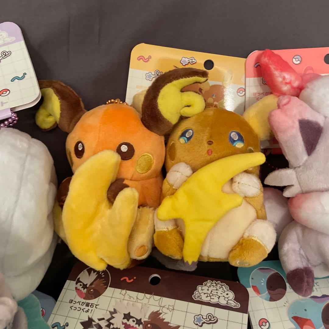 ポケモンセンターオリジナル にたものどうし 磁石でくっつくペア