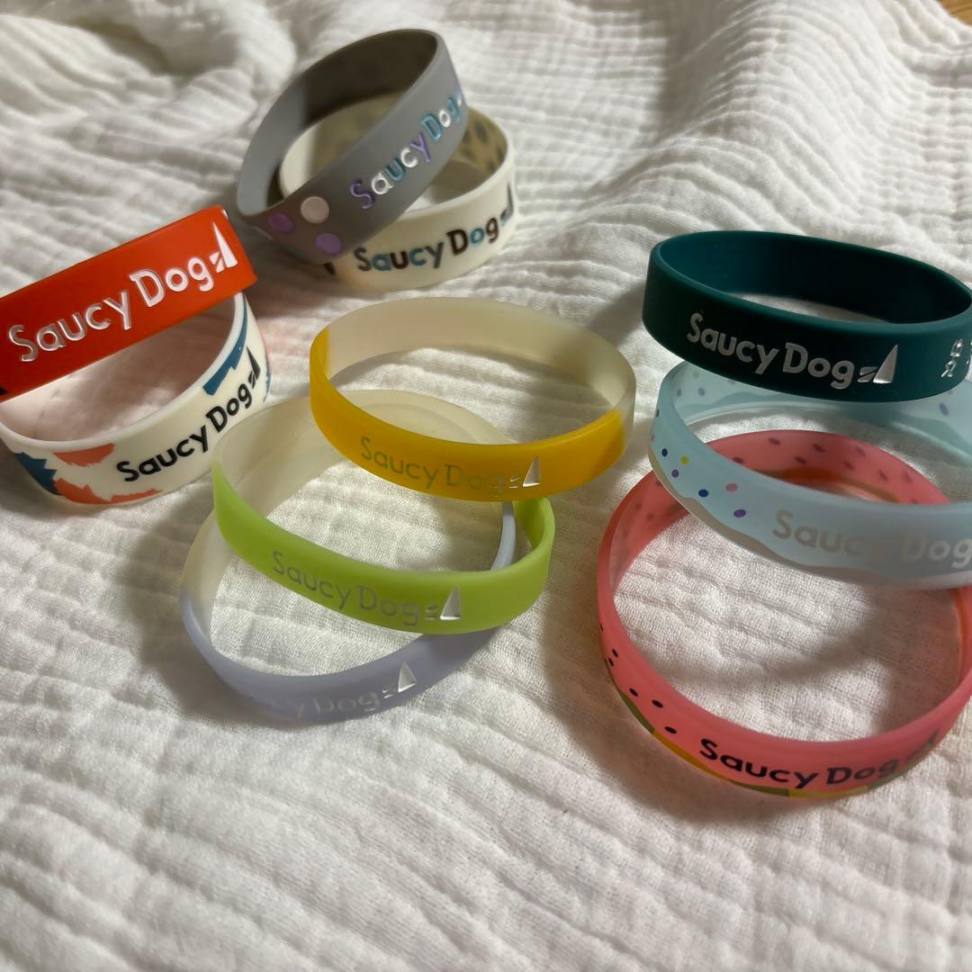 Saucy Dog ラバーバンド 10個セット バラ売り可 - メルカリ