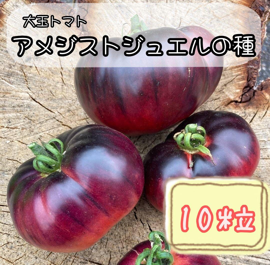 杏様 リクエスト 10点 まとめ商品 - メルカリ