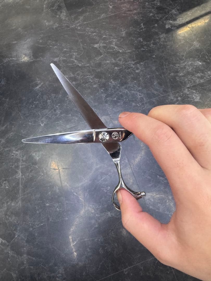 アルファシザー