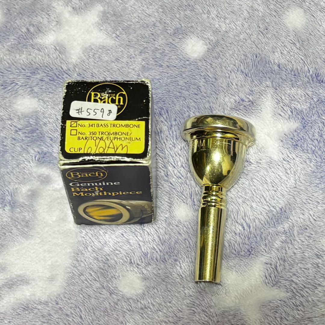 VINCENT BACH CORP 6 1/2AMGP 太管