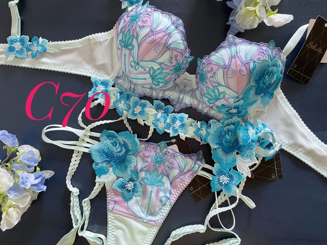 サルート C70/M 3点セット 61G ME