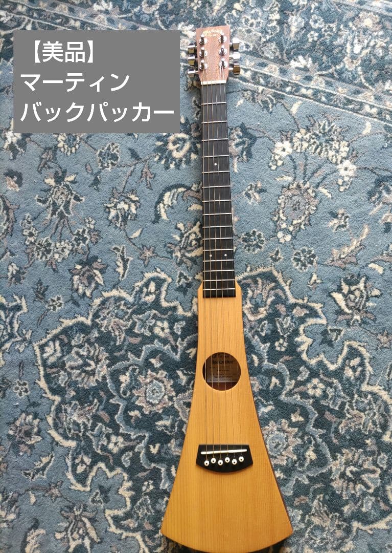 【美品】F.martin&Co 　マーティン　バックパッカー　ケース付き