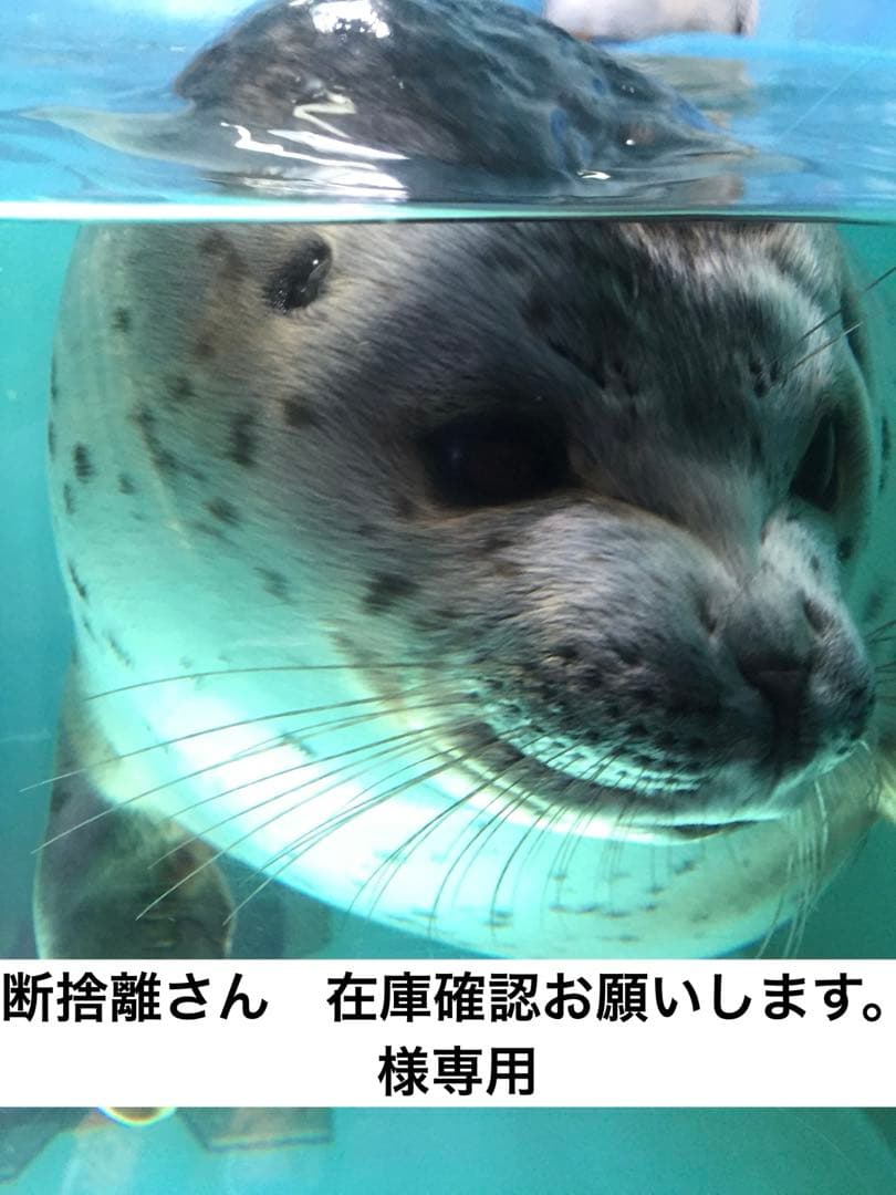 Y433★d program スキンリペアクリーム リフィル 310g 2個