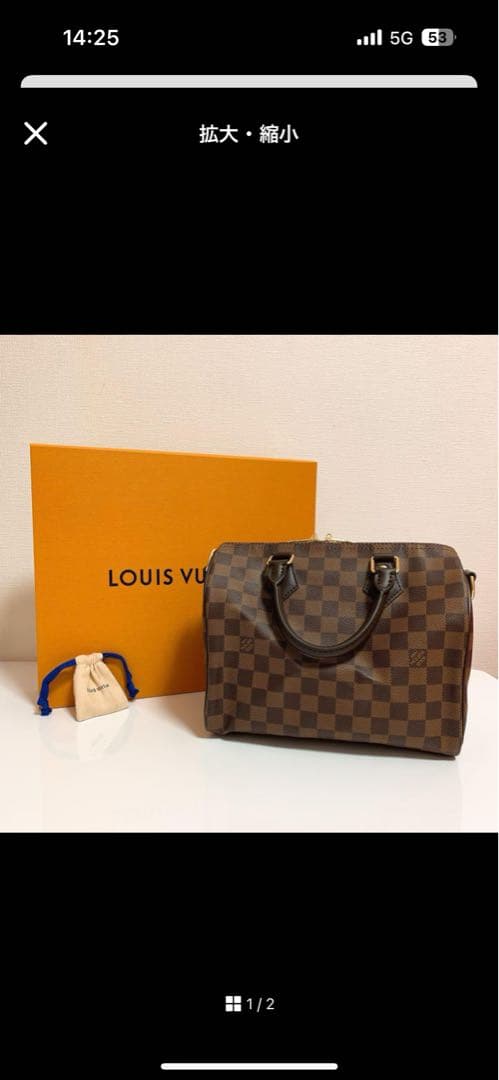 スピーディーバンドリエール25 ダミエ