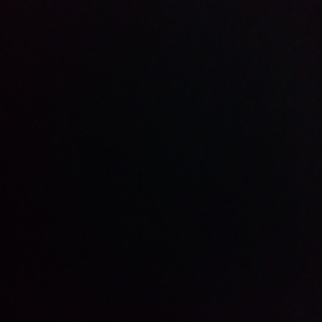 ララパームホイール2本きいこ様