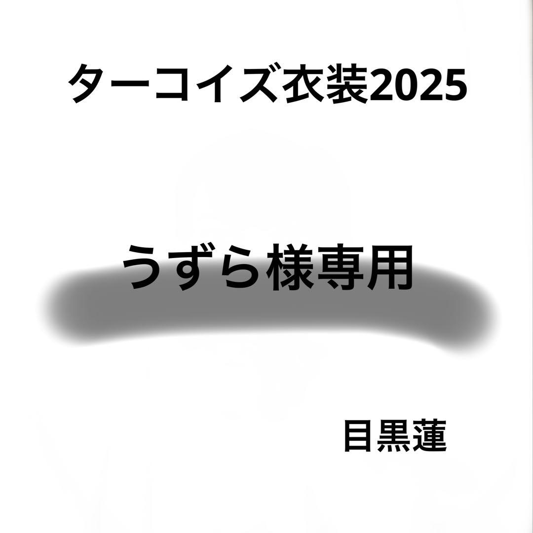 うずら専用　Bigぬい ぬい服 ターコイズ衣装　目黒蓮 すのチル ターコイズ衣装 BIGぬいぐるみ 目黒蓮 服 snowman - メルカリ