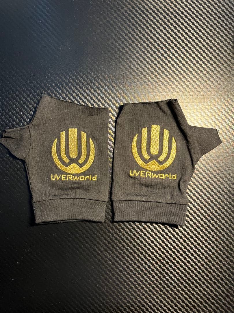 UVERworld グローブ 日産スタジアム