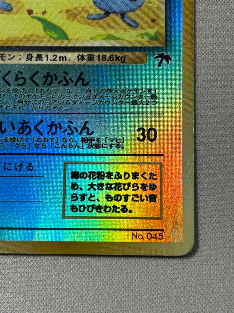 ラフレシア 映画公開記念パック サザンアイランド 旧裏 リバホロ