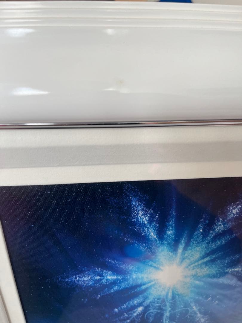 ディズニー エルサズトランスフォーメーションJP版 ジクレ ED195