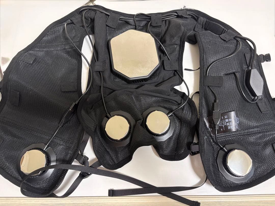 2025 ワークマン ペルチェベスト　1度使用