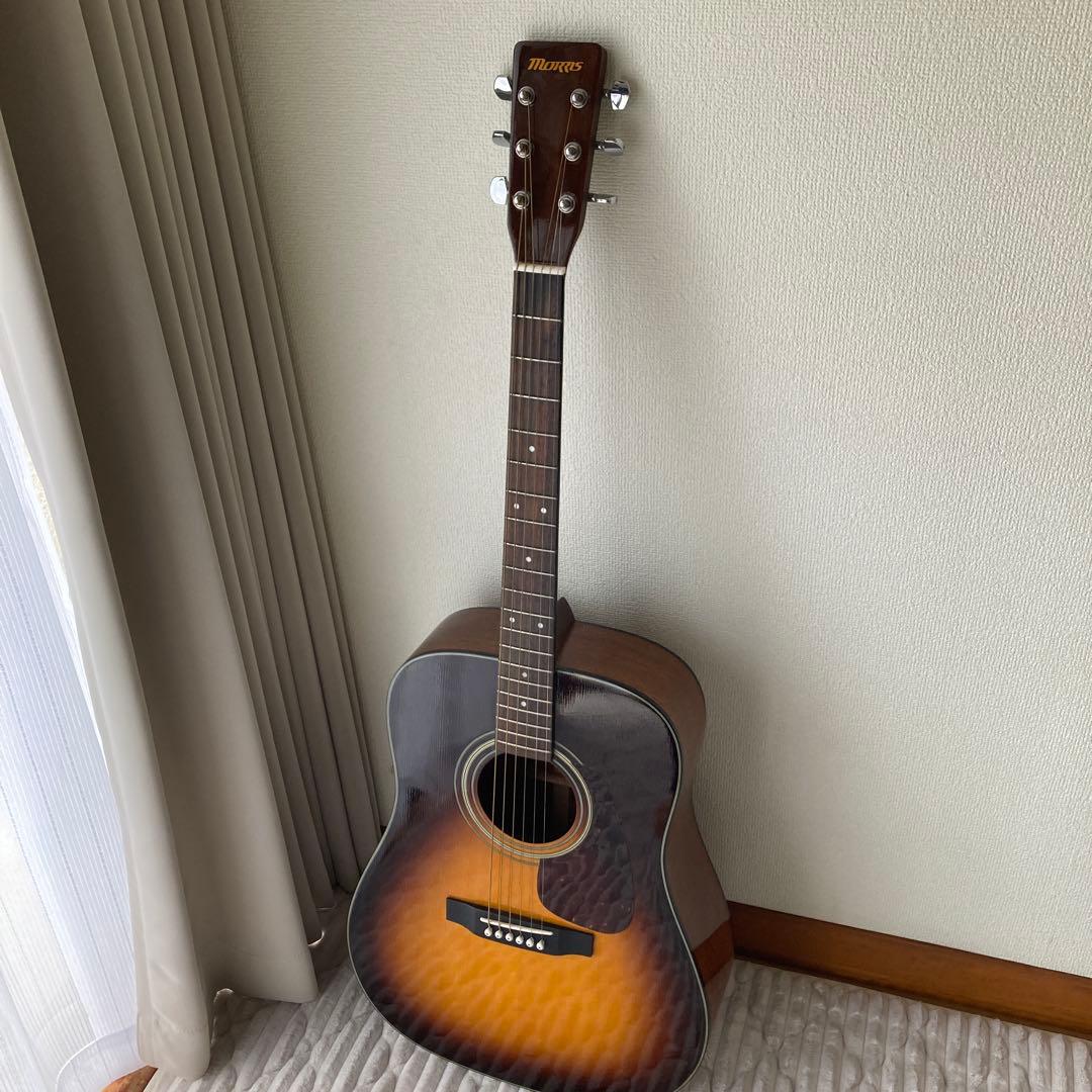 Morris MD-256TS アコースティックギター Morris MD-256TS Acoustic Guitar アコースティックギター モーリス