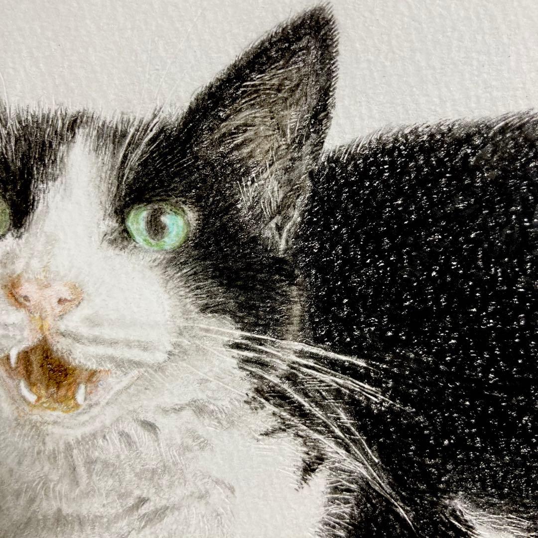 色鉛筆画 白黒 ハチワレ猫 - メルカリ