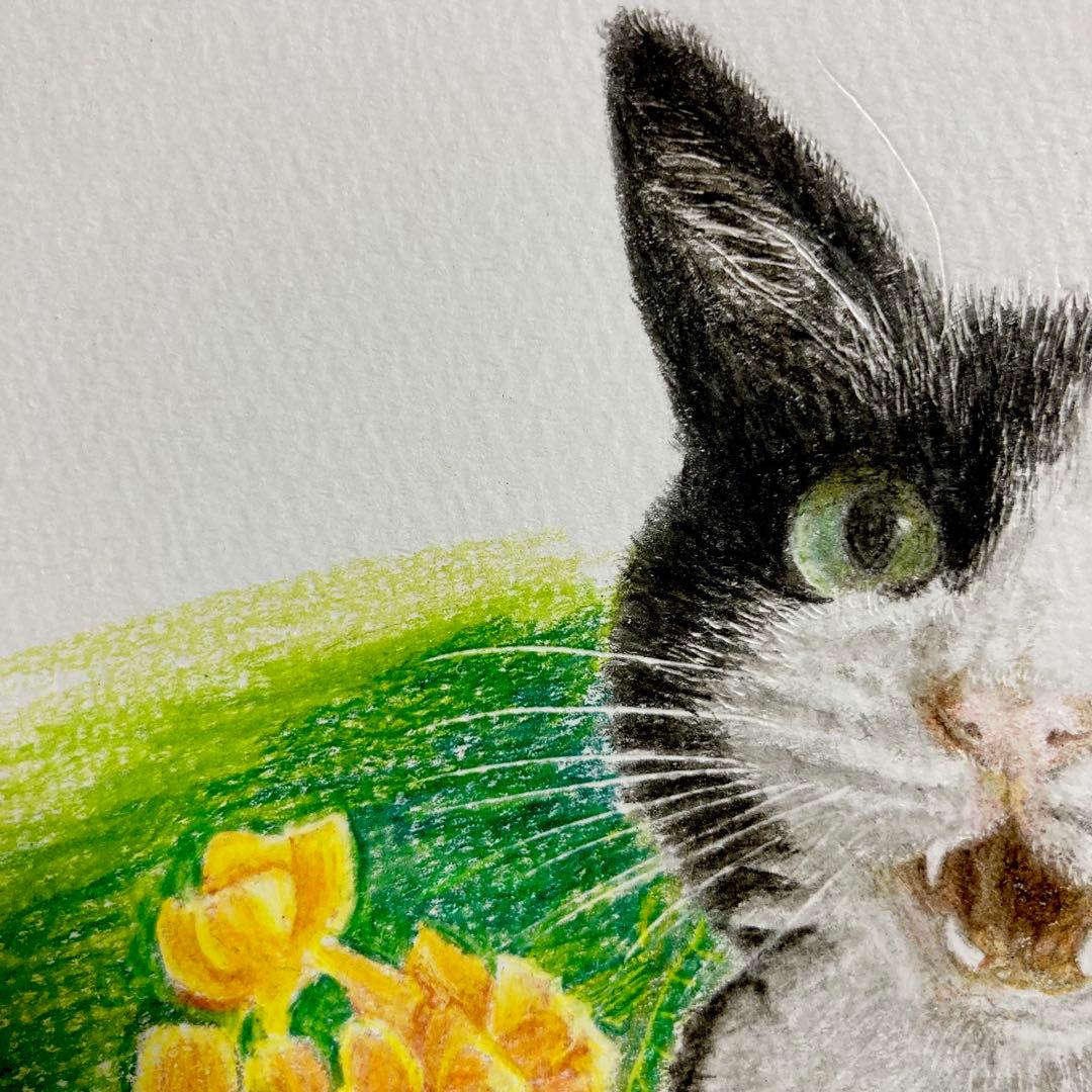 色鉛筆画 白黒 ハチワレ猫 - メルカリ