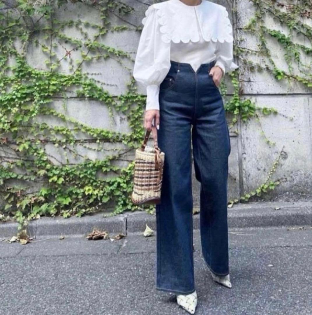 シーニュ cygne 0