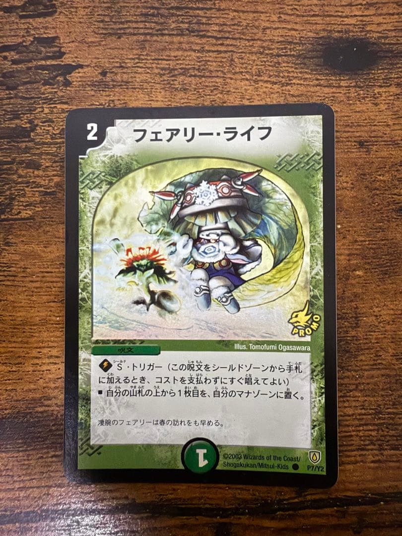 フェアリーライフ プロモ 初期